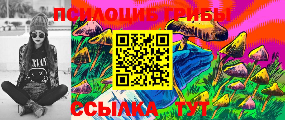 Галлюциногенные грибы Cubensis Барабинск